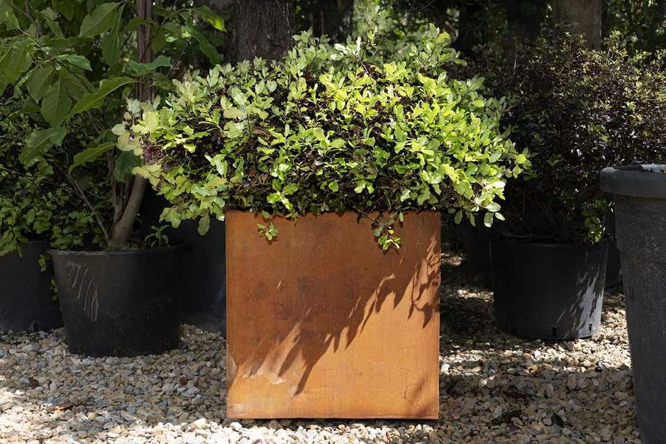 Corten Steel Cube Planter - 400mm x 400mm x 400mm