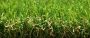 30mm Artificial Grass - Exbury Bright - 2m x 15m