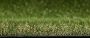 27mm Artificial Grass - Elise - 2m x 10m