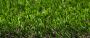 30mm Artificial Grass - Ludus - 2m x 15m