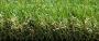 40mm Artificial Grass - Pragma - 2m x 10m