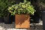 Corten Steel Cube Planter - 500mm x 500mm x 500mm