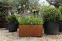 Corten Steel Trough Planter - 1200mm x 300mm x 300mm