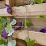 Living Screen Wooden Planter - 900mm x 390mm