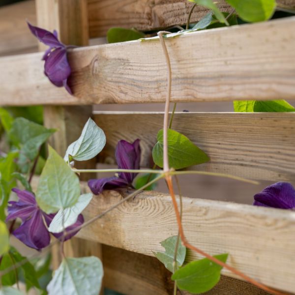 Living Screen Wooden Planter - 900mm x 390mm