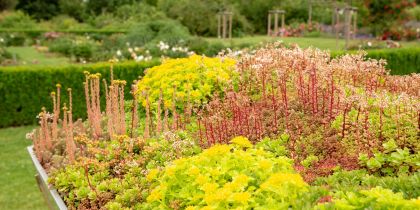 Do I Need Planning Permission for A Green Roof?