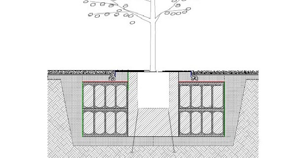 Tree Root Protection with Rainsmart Terravault