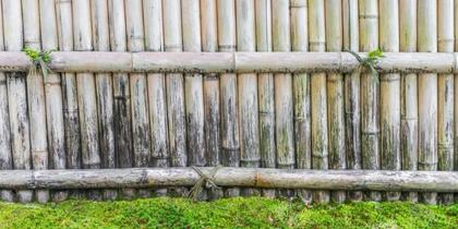 How to Remove Green Algae from a Timber Fence